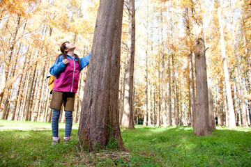 240_F_375455725_FKIOTSXpKCBIT6UtwlIKJhHkTNpp1kS7